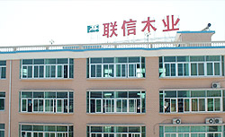 �D��(li��n)��ľ�I(y��) �c(di��n)���ɷŴ�