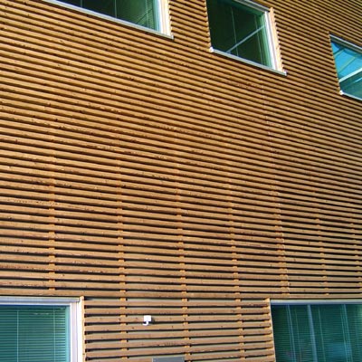 �D��̿��ľ �c(di��n)���ɷŴ�