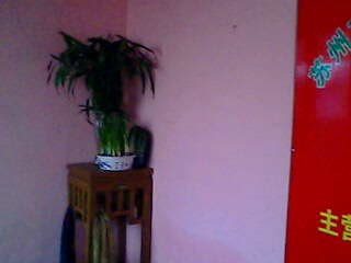 �D����˾�DƬ �c���ɷŴ�