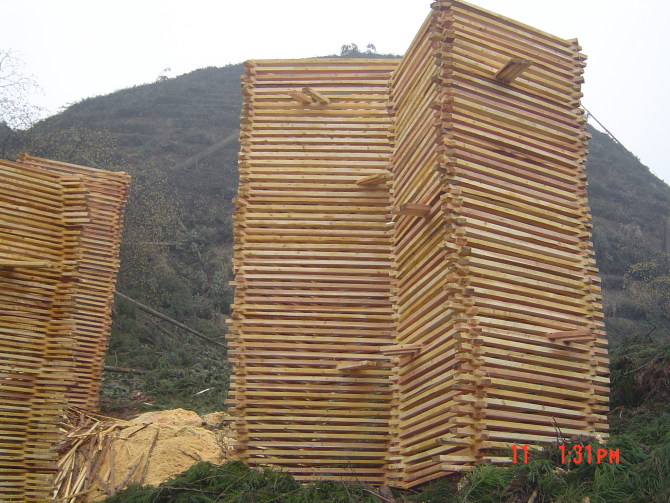 �D����ɼ��� �c���ɷŴ�