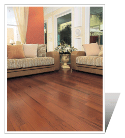 �D��3 �c(di��n)���ɷŴ�