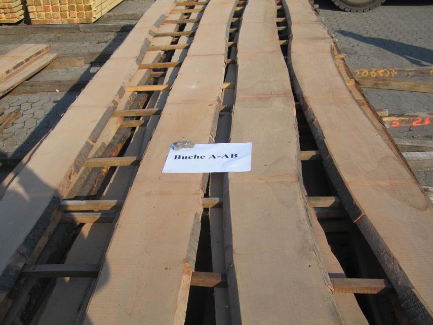 �D�����M�ڙ�ľ��� �c���ɷŴ�