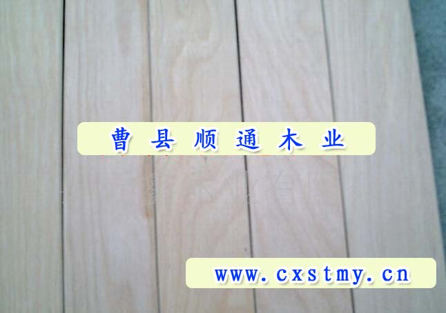 �D������l �c(di��n)���ɷŴ�