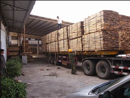 �D����؛�F(xi��n)�� �c���ɷŴ�