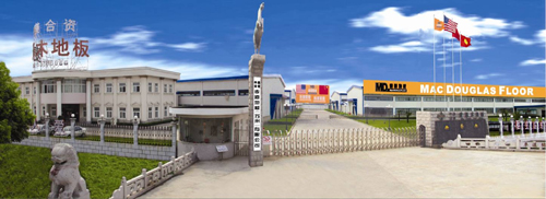 �D�������ذ�S�^(q��)����D �c(di��n)���ɷŴ�