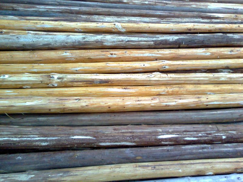 �D���_�� �c���ɷŴ�