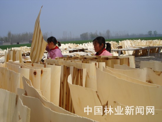 �D��5 �c(di��n)���ɷŴ�