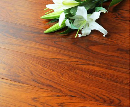 �D����ľ�ذ�--�OƷɽ�y �c(di��n)���ɷŴ�