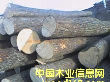 �D�����NҎ(gu��)��ԭľ �c(di��n)���ɷŴ�