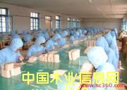 �D�����a(ch��n)܇�g �c���ɷŴ�