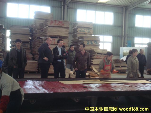 �D�����a(ch��n)�F(xi��n)�� �c���ɷŴ�