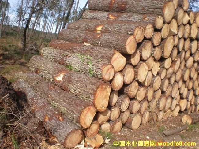 �D��ɼľ �c(di��n)���ɷŴ�