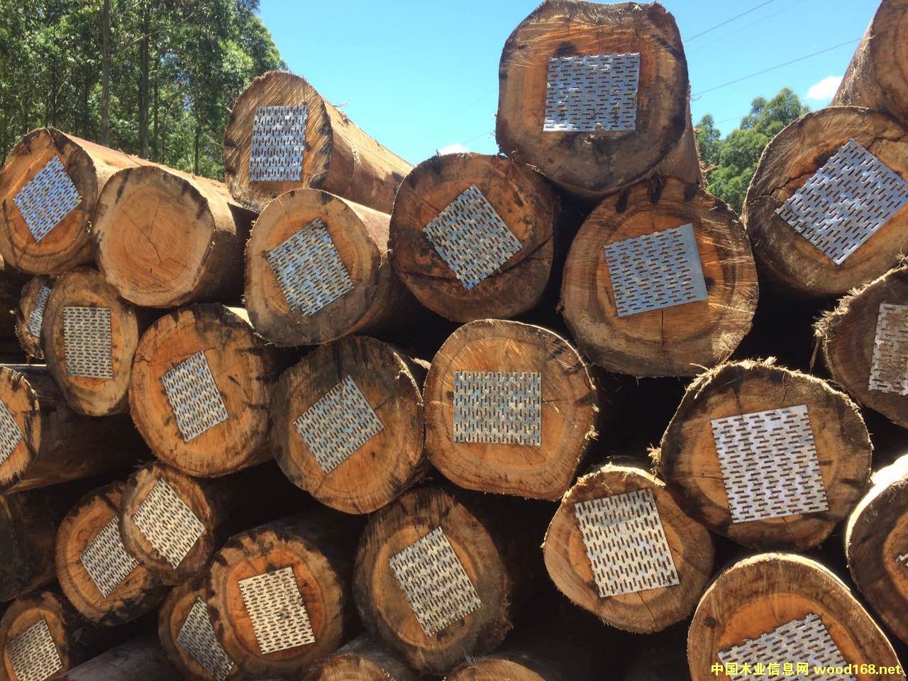 �D��õ����ľ �c(di��n)���ɷŴ�