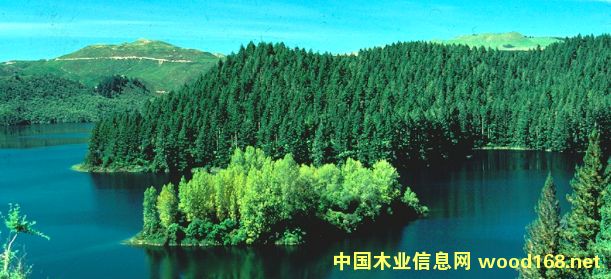 �D���҂��Ĺ��S �c���ɷŴ�