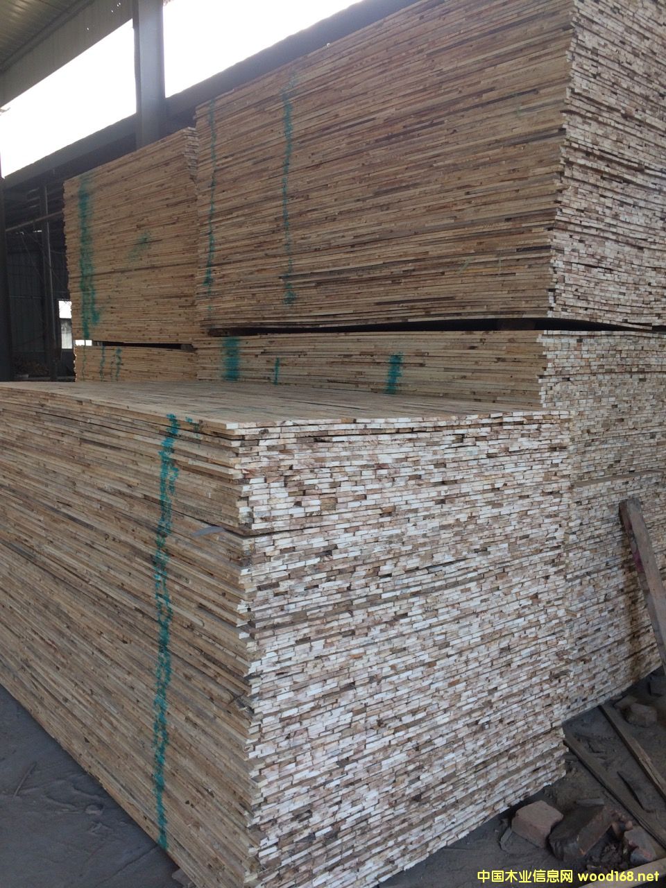 �D����(x��)ľ�� �c(di��n)���ɷŴ�