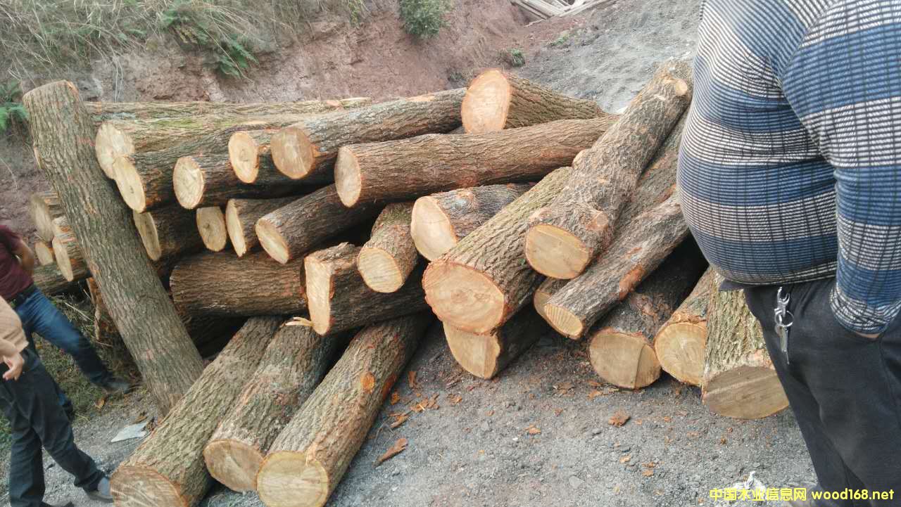 �D������ �c(di��n)���ɷŴ�