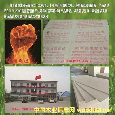 �D���R��ɭ��ľ�I(y��) �c���ɷŴ�