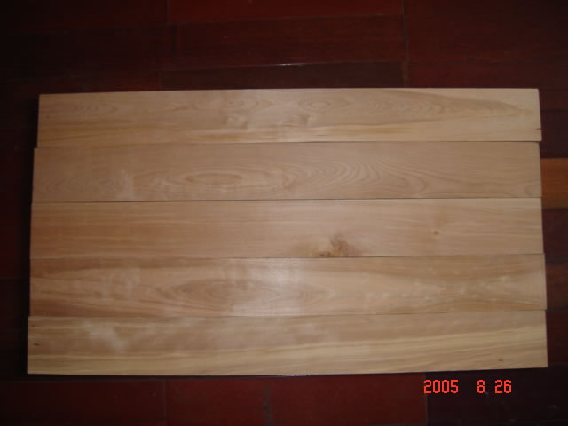 ���_˹��ľ��A��(j��)����Ԕ��(x��)��B