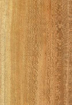 �Ҳ�����ľƤ��Ԕ����B