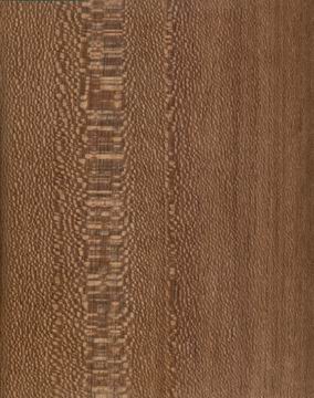 �Ҳ�����ľƤ��Ԕ����B