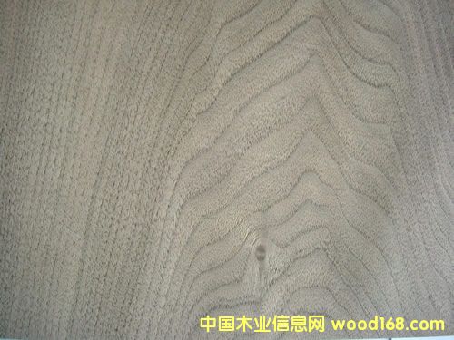 ���Ҙ�Ƥ��Ԕ����B