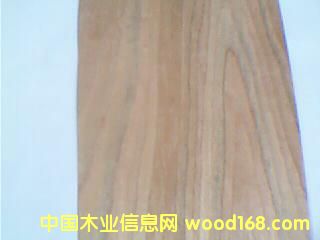 ����ľ6��Ԕ��(x��)��B