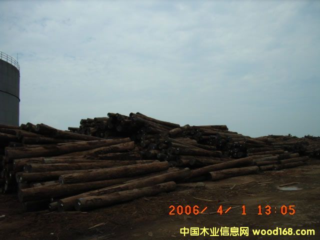 �Ĵ������t��ԭľ��Ԕ��(x��)��B