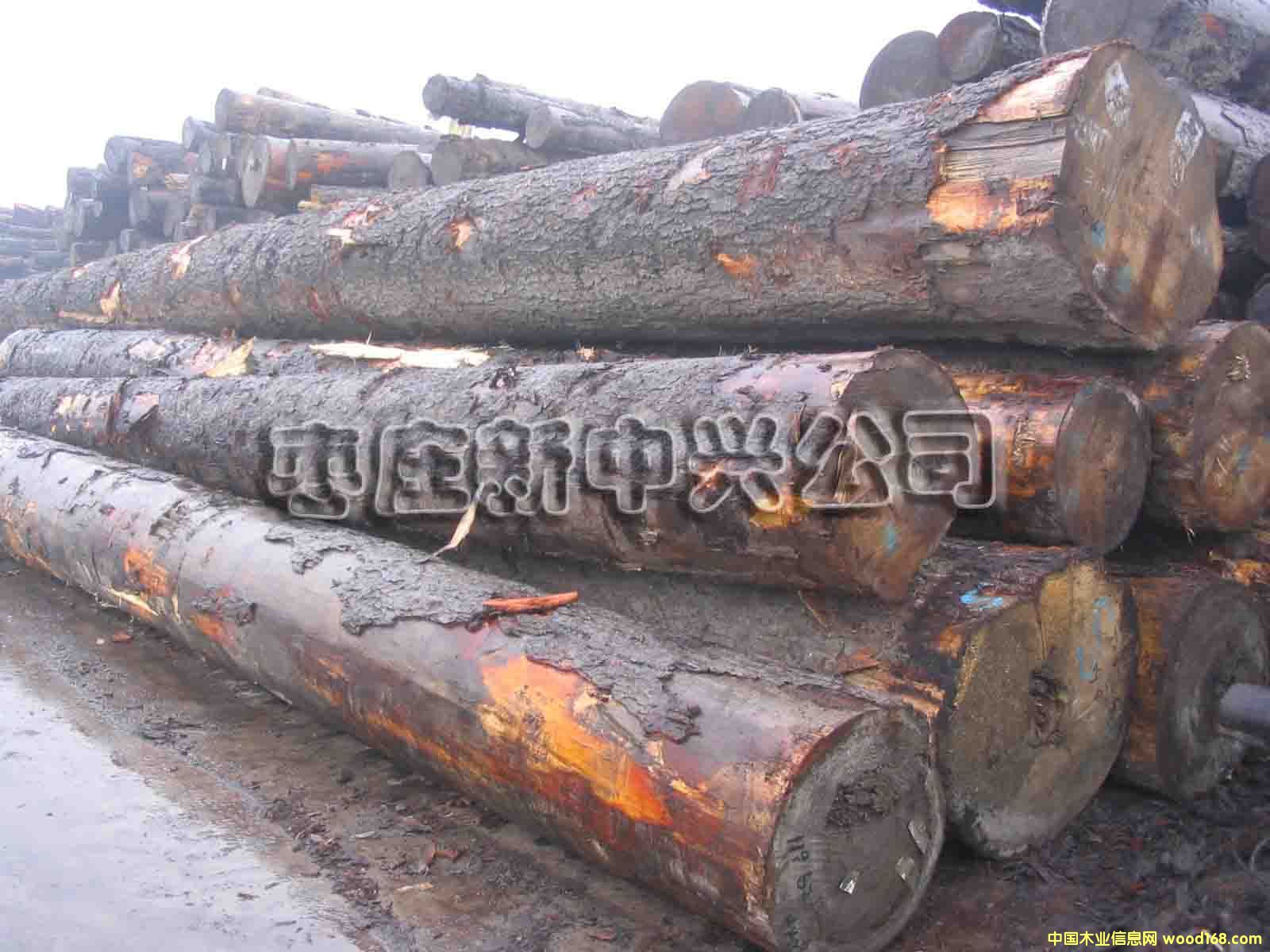 �c(di��n)���鿴���ô���ɼ�Ŵ�DƬ