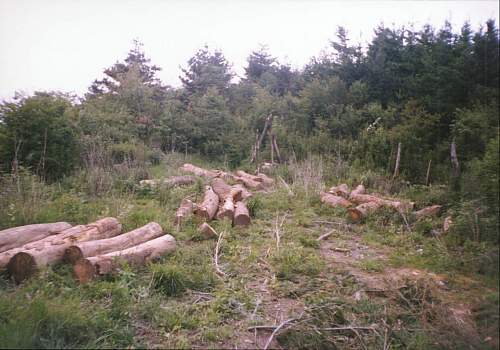 �sľԭľ��Ԕ��(x��)��B