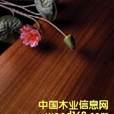 �A�P����ľ��(f��)�ϵذ��Ԕ��(x��)��B