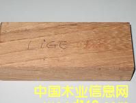 ����-LINGUE/APA��Ԕ��(x��)��B