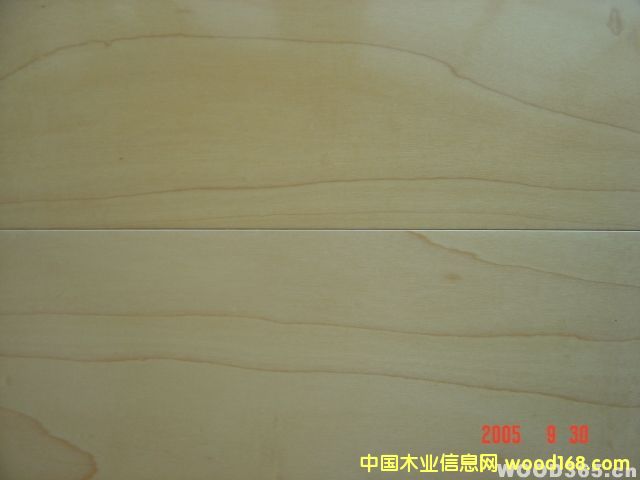 �ӗ�ľƤ��Ԕ��(x��)��B