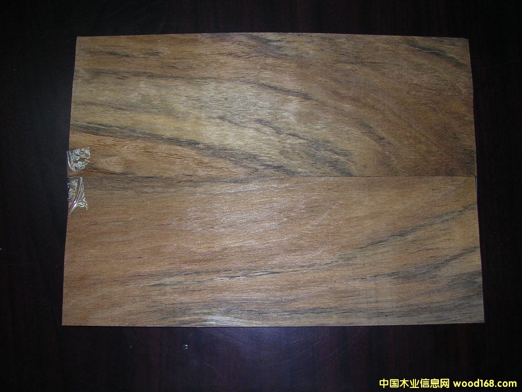 ����ľƤ��Ԕ��(x��)��B