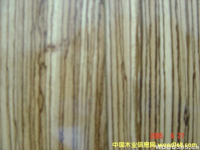 ���RľƤ��Ԕ��(x��)��B