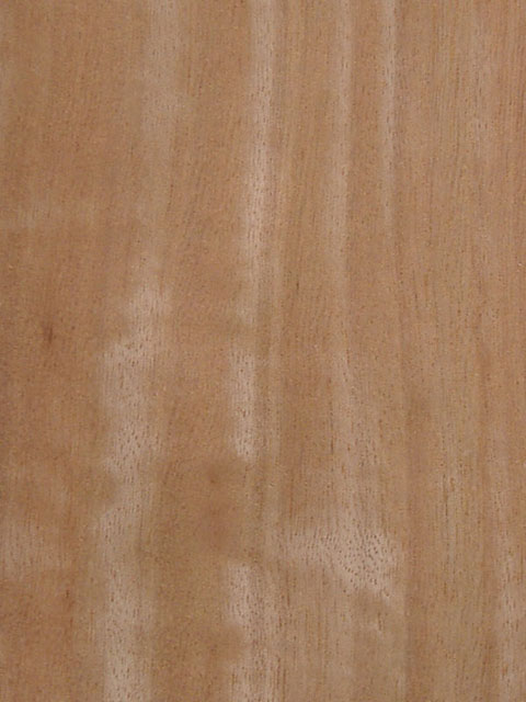 ������Ӱ����(�t���y)moabi(Q)��Ԕ��(x��)��B