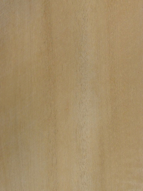 �հ���(�wƤ����/�S��̴)tauari(Q)��Ԕ��(x��)��B