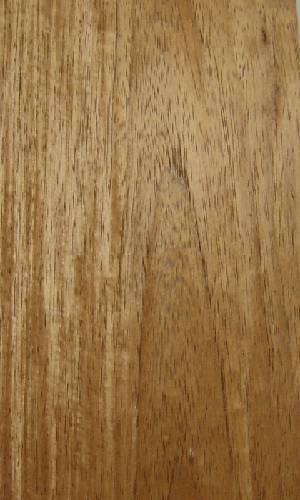 �S����ľƤ(ɽ�y)mangris(c)