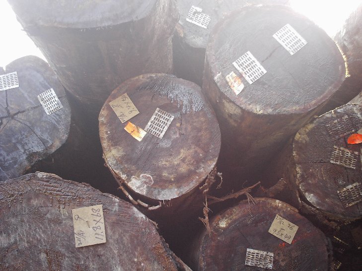 �����ͻ���ԭľ��Ԕ��(x��)��B