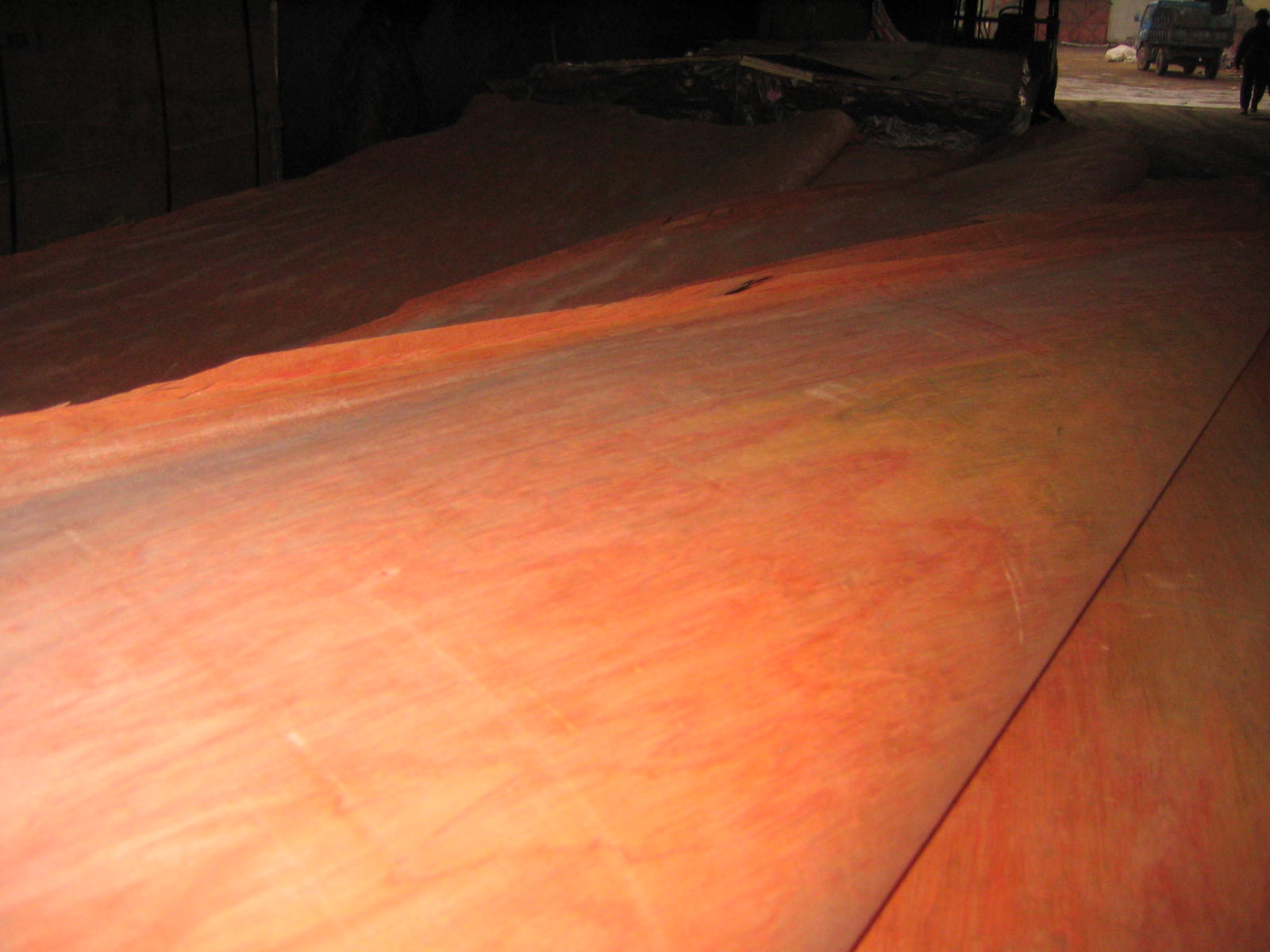 Bintangor veneer��Ԕ��(x��)��B