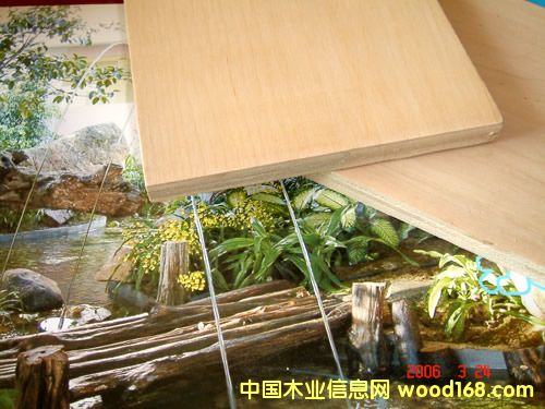 ��ľLVL�Tо��