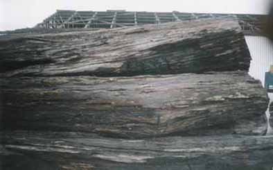 ����õ��tľ��Ԕ����B