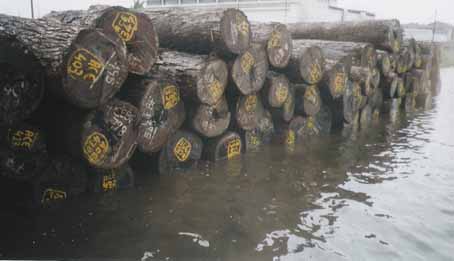 ������̴ľ��Ԕ����B