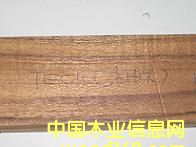 ��ľ��Ԕ��(x��)��B