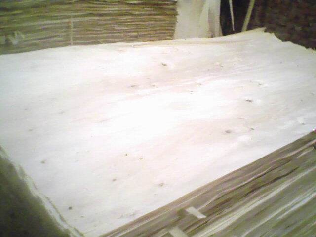 ��ľ���N��(j��)�eƤ��Ԕ��(x��)��B