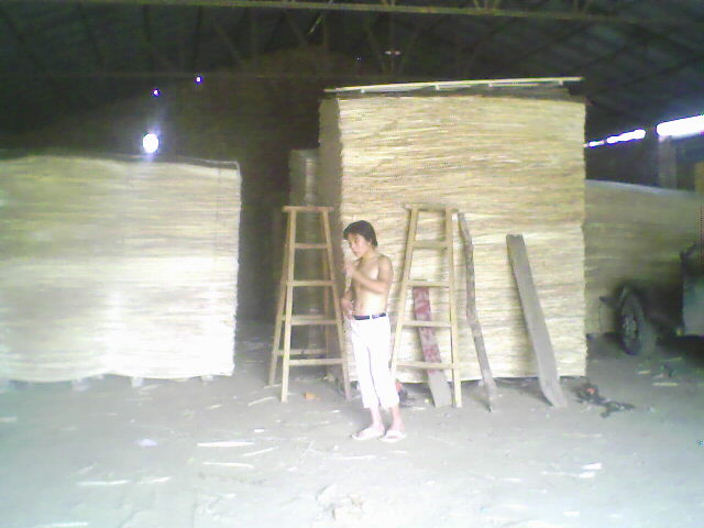 ��ľ���N��(j��)�eƤ��Ԕ��(x��)��B