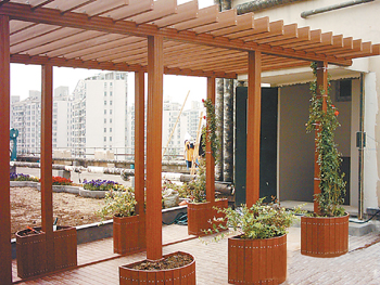 ��ľ���^��Ԕ��(x��)��B