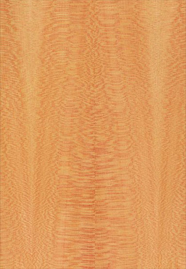 ����(y��ng)-��˹�N���