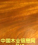 ��ρľ/��̴(IPE)��Ԕ��(x��)��B