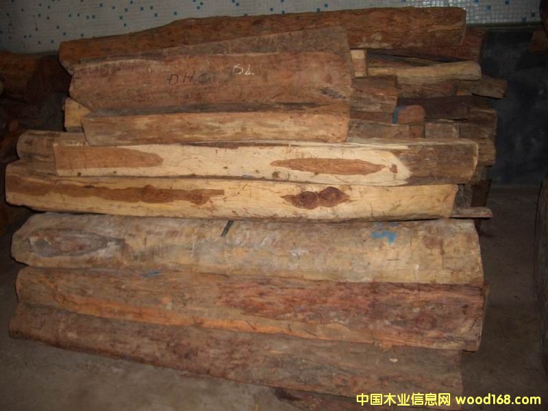 ԭľ��Ԕ��(x��)��B