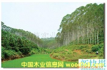 �֮a(ch��n)�I(y��)���̵�Ԕ��(x��)��B